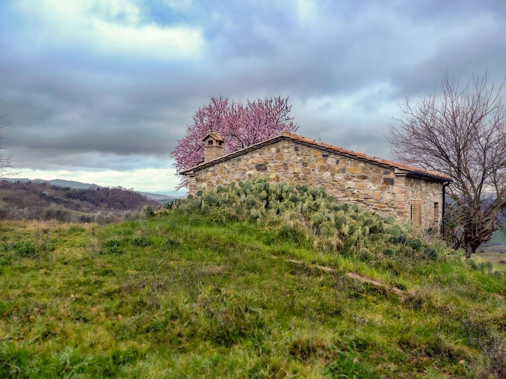 Agriturismo Le Canterie Radicondoli Exterior foto