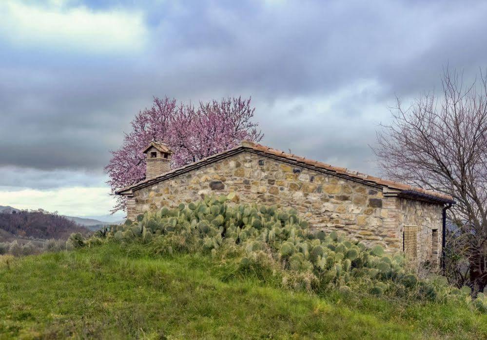Agriturismo Le Canterie Radicondoli Exterior foto